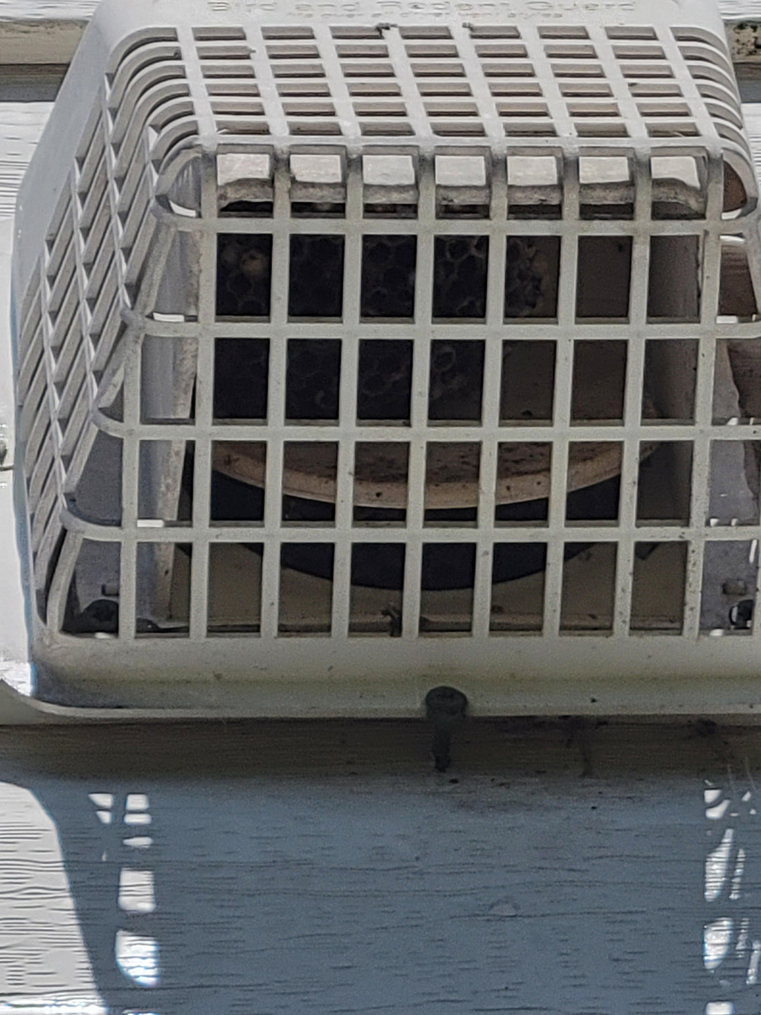 5 Summer Warning Signs Critters & Wasps Are Nesting in Your AC or Furnace Vents