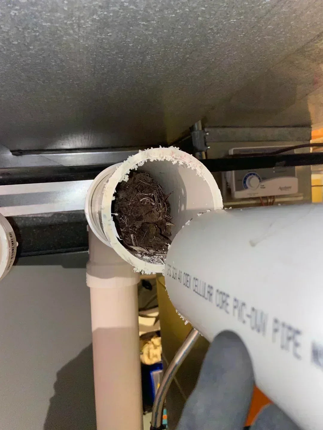 Mice Around a Furnace? What Homeowners Should Check Before a Small Opening Becomes a Big Problem